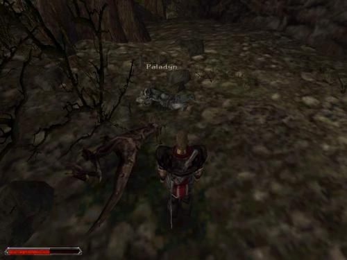 Gothic 2 001813,3
